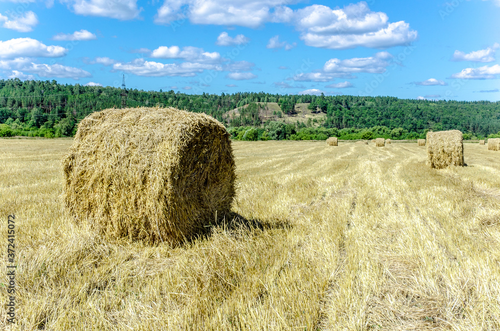 haystack in a field in august