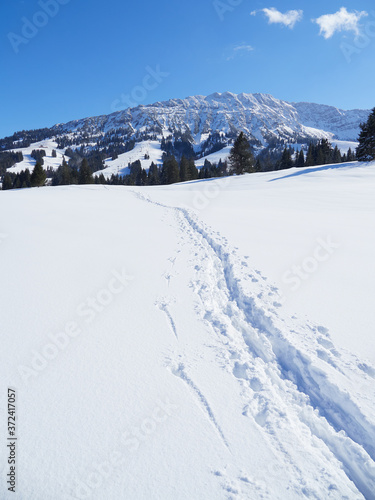 Ski touring trails