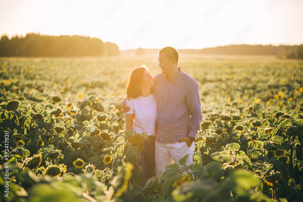 Fototapeta premium Happy couple cuddling in a field with sunflowers at sunset.