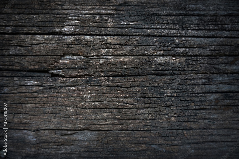 Wood surface Log background from Thailand Wood surface Log background from Thailand