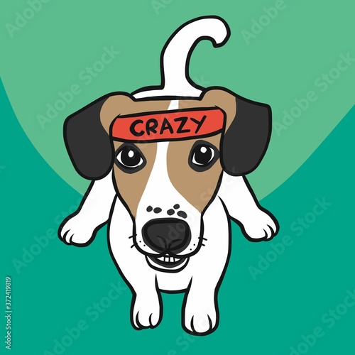 Jack Russell dog wear crazy word on headband  cartoon vector illustration