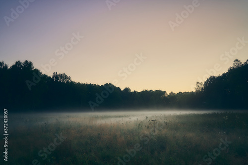 Mist over the meadow