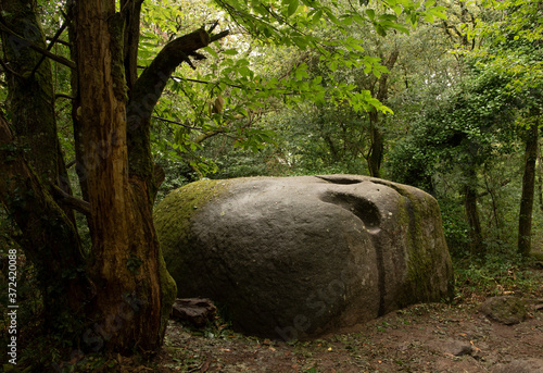 Le massif du Sidobre près de Castres (chaos de rochers de granit aux formes étranges) photo