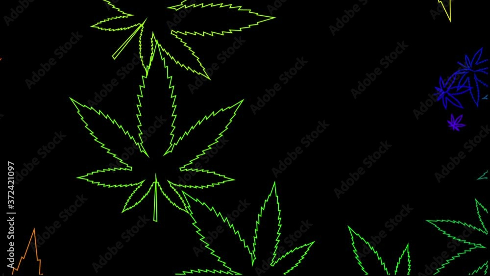 marijuana cannabis leaf in rainbow colors, VJ loop marijuana cannabis leaf in rainbow colors, VJ loop