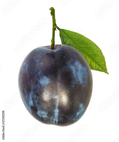 Fresh plum with leaf isolated on white background  with clipping path