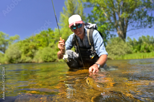 fly fisherman in summer catching brown trout fishing in a mountain river