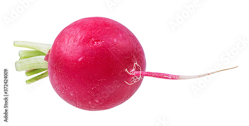 Fresh red radish isolated on white background with clipping path