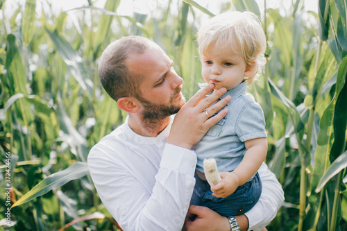 Handsome young caucasian dad with short dark hair in white shirt, blue jeans and goes for a walk in the cornfield with his pretty baby with fair hair