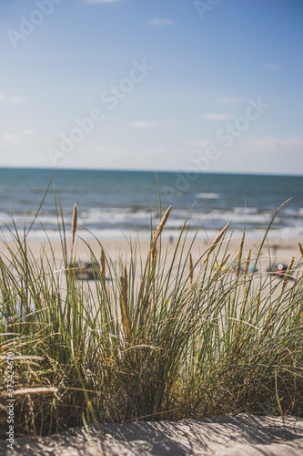 Fototapeta Naklejka Na Ścianę i Meble -  beach dune
