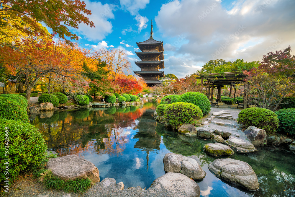 Naklejka premium Toji temple and wood pagoda in autumn Kyoto, Japan