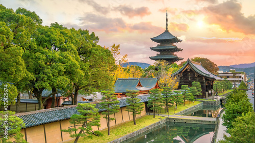 Photography Toji temple and wood pagoda in autumn Kyoto, Japan