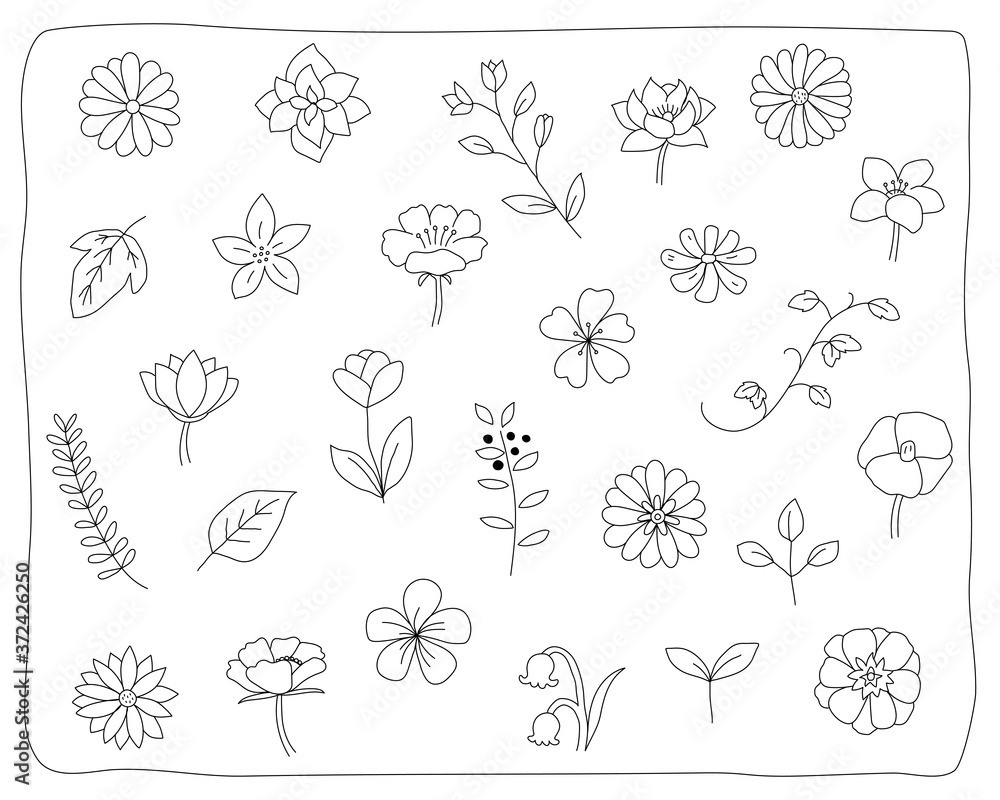 手書きの花や葉のイラストのセット 植物 おしゃれ かわいい 素材 自然 Vector De Stock Adobe Stock