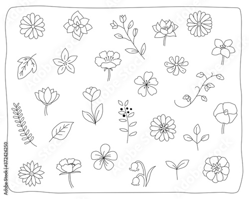 手書きの花や葉のイラストのセット 植物 おしゃれ かわいい 素材 自然 Vector De Stock Adobe Stock