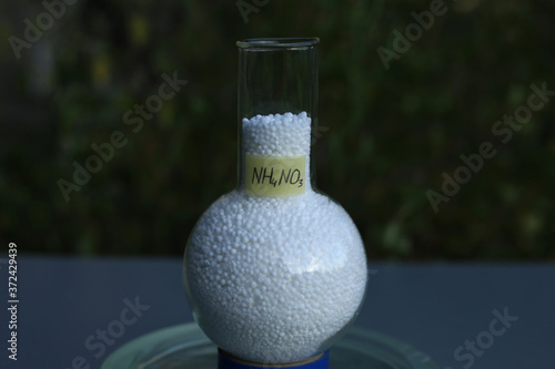 Mineral nitrogen fertilizer ammonium nitrate in granular, in a round bottom flask. photo