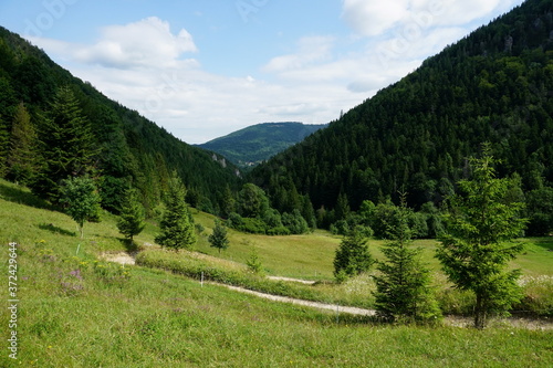 Meadows and forests above Jasenova with hills of Mala Fatra National Park, Slovakia. Sunny summer day  photo