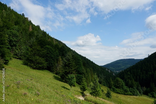 Meadows and forests above Jasenova with hills of Mala Fatra National Park  Slovakia. Sunny summer day 