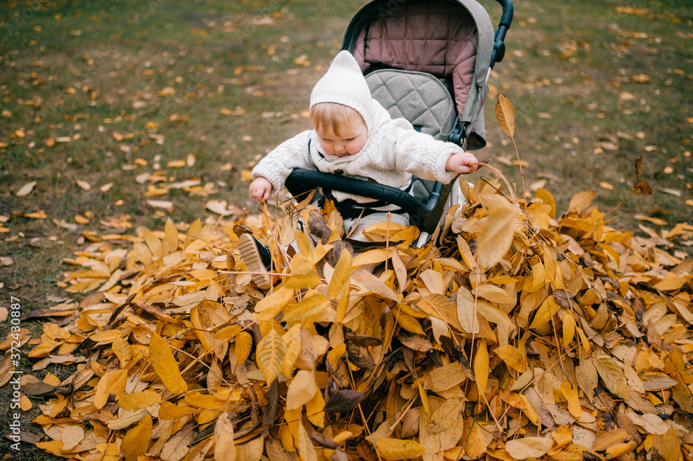 Obraz premium A beautiful little baby in a stroller in a pile of leaves outside in the fall