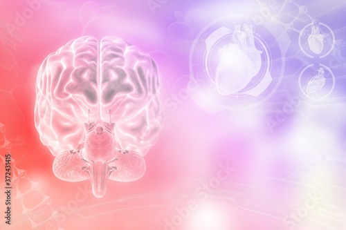 Medical 3D illustration - human brain, neurology development concept - detailed electronic background or texture