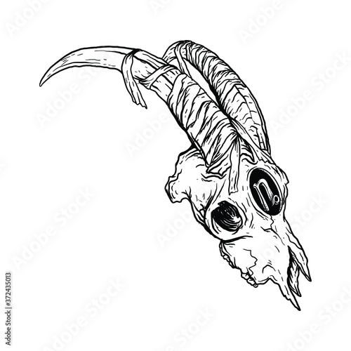 tattoo and t-shirt design black and white hand drawn  capricorn skull zodiac premium vector