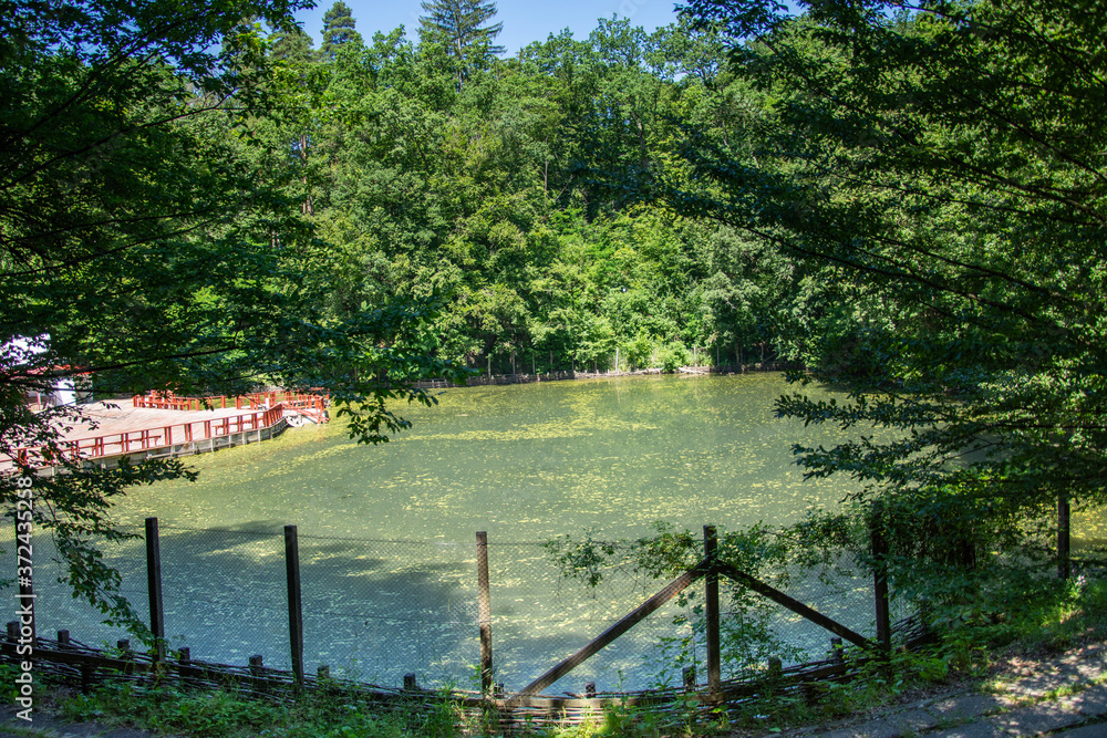 Fototapeta premium Romania 2020,Alunis Lake Thermal Spa in Sovata, Transylvania, 