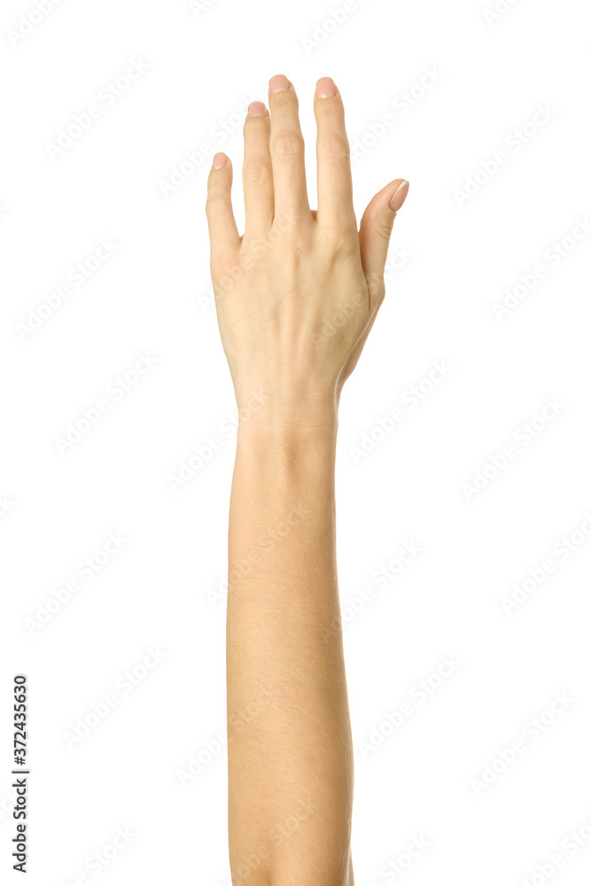 Raised hand voting or reaching. Woman hand gesturing isolated on white Raised hand voting or reaching. Woman hand gesturing isolated on white