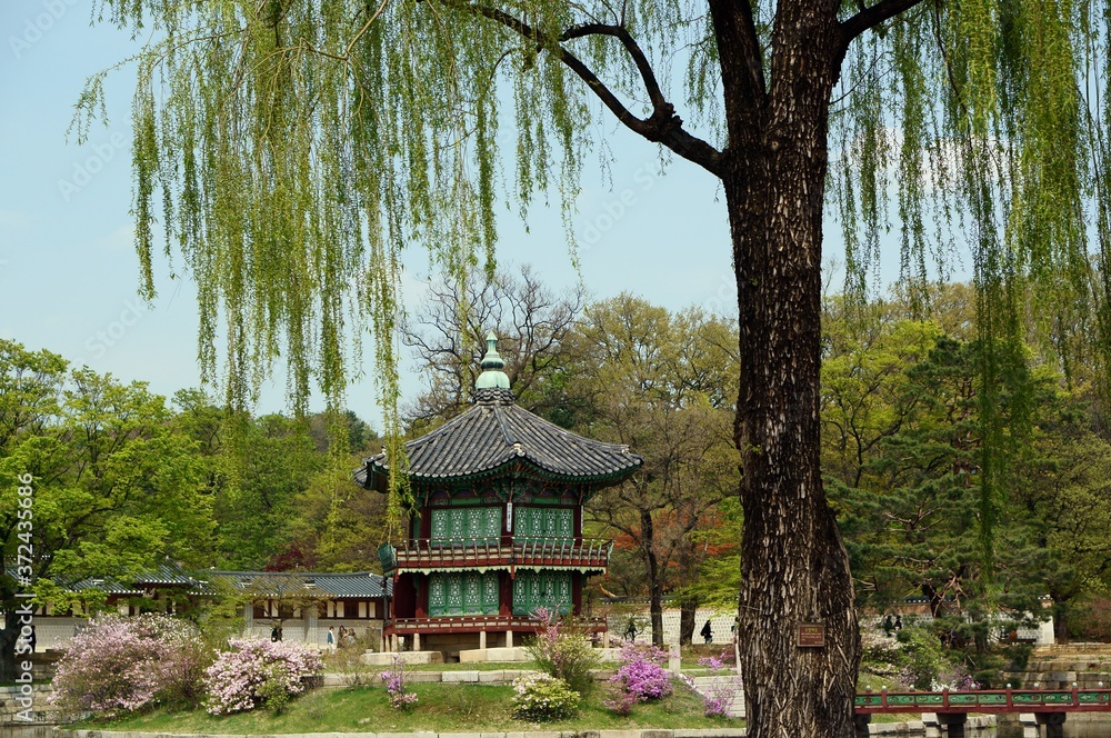 Beautiful scenery with a traditional Korean building in a park with a lake Beautiful scenery with a traditional Korean building in a park with a lake