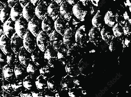 Fish scales texture. Scales background.Grunge texture. Grunge black and white vector overlay. Grungy grainy surface.