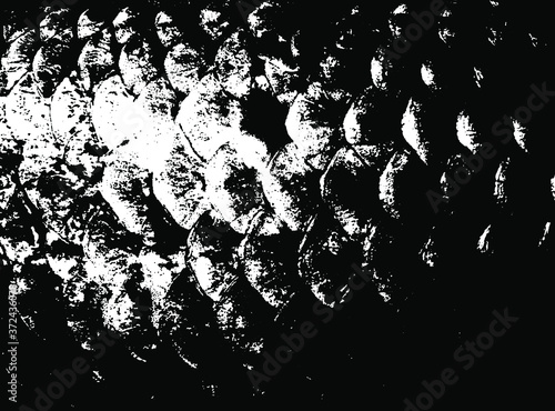 Fish scales texture. Scales background.Grunge texture. Grunge black and white vector overlay. Grungy grainy surface.