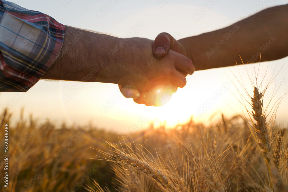 Two farmers shake hands against the background of a wheat field. Conclusion of a contract. - obrazy, fototapety, plakaty 