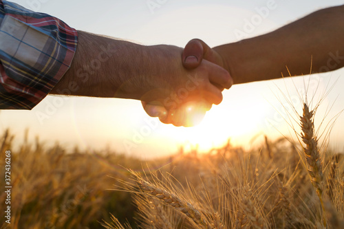 Obraz na plátně Two farmers shake hands against the background of a wheat field