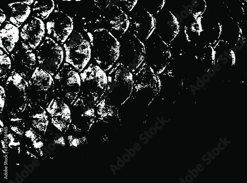 Fish scales texture. Scales background.Grunge texture. Grunge black and white vector overlay. Grungy grainy surface.