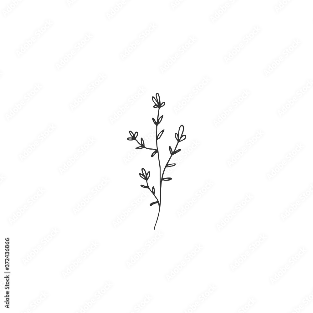 A branch with leaves and flowers. Hand drawn simple floral icon. Vector illustration. A branch with leaves and flowers. Hand drawn simple floral icon. Vector illustration.