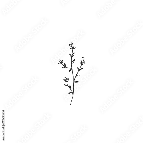 A branch with leaves and flowers. Hand drawn simple floral icon. Vector illustration.