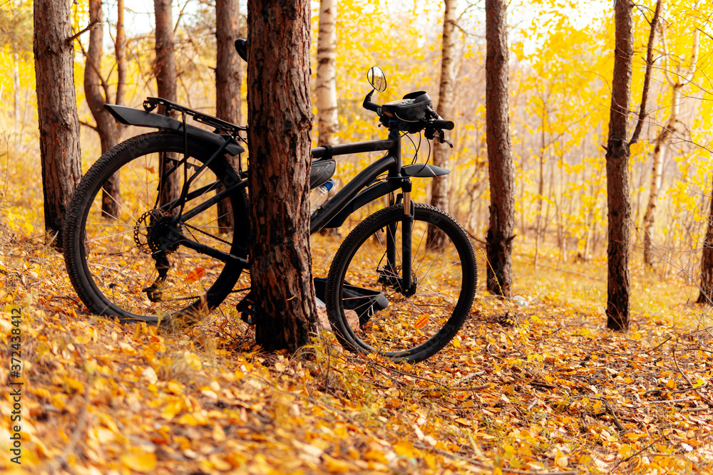 Black mountain bike in the autumn forest. Cloudy day.