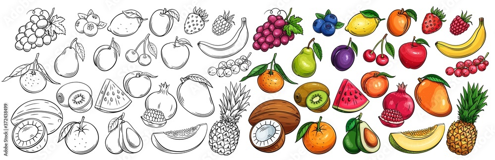 Fruit and berries icons