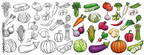 vegetables icons set