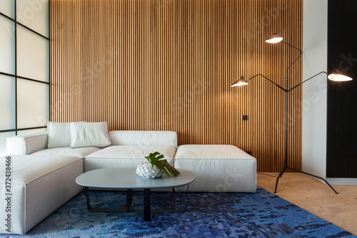 Modern house with contemporary interior design in living room