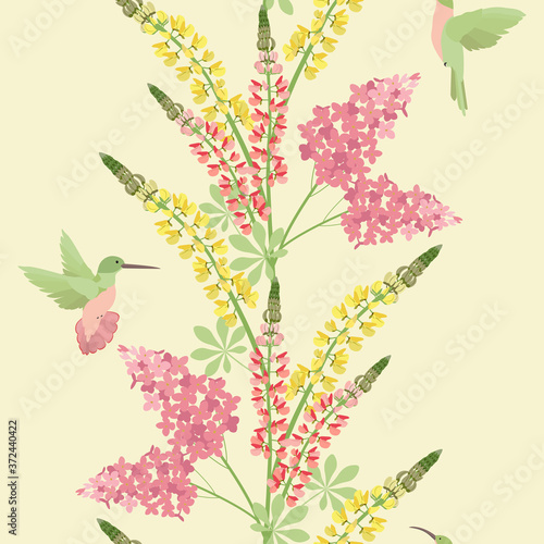 Seamless vector illustration with lilac, lupine flowers and hummingbirds