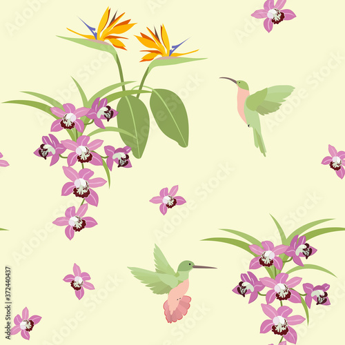 Seamless vector illustration with flowers of orchids, strelitzia and hummingbirds