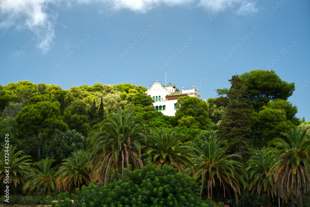 Colonial villa house in the park in the jungle of palm trees luxury