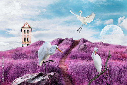 Fototapeta contemporary art collage of white birds on surreal landscape