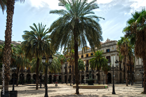 Barcelona Old Town Square with palm trees called “Barri Gotic” the gothic district
