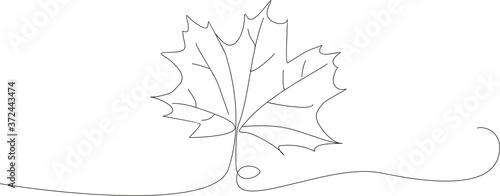 autumn maple leaf lineart © maiecka
