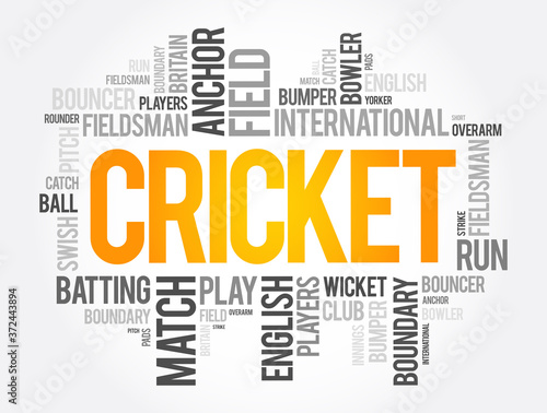 Cricket word cloud collage, sport concept background