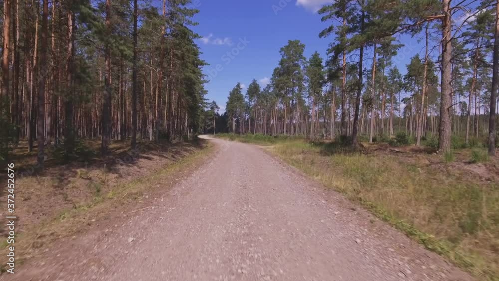 The Winding Gravel Road Leads Through The Pine Forest. Aerial Low Flying Forward The Winding Gravel Road Leads Through The Pine Forest. Aerial Low Flying Forward