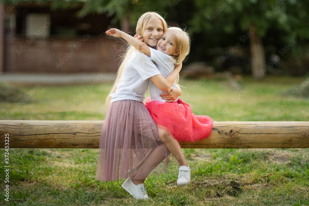 Naklejka premium Two sisters are sitting on log and hugging