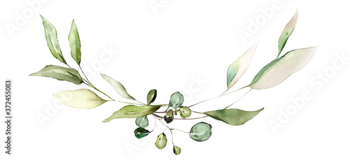 tropical watercolor herbal branch with leaves
