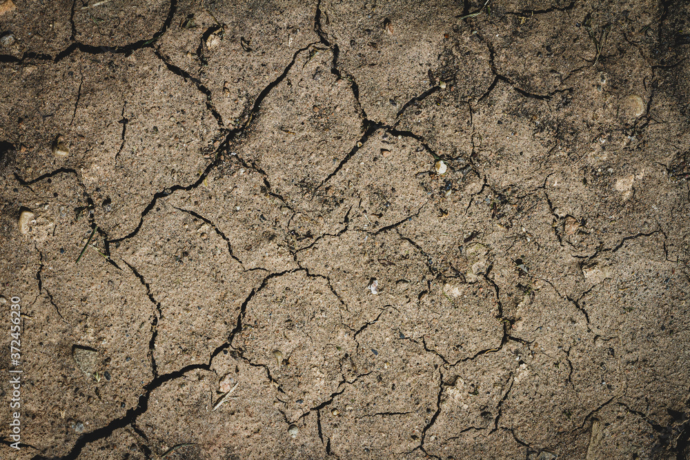 Abstract ground texture background Abstract ground texture background
