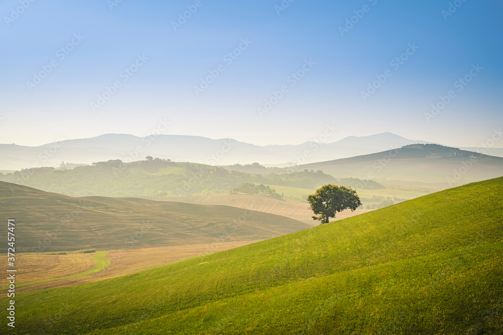 Tuscany landscape with green grass in the morning. Travel destination Tuscany