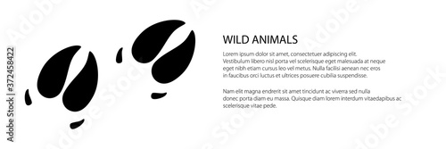 Banner of track of forest animal, trace of a predatory animal boar, vector illustration